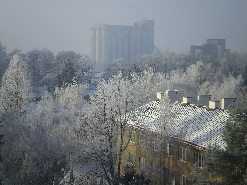 Zima 2009