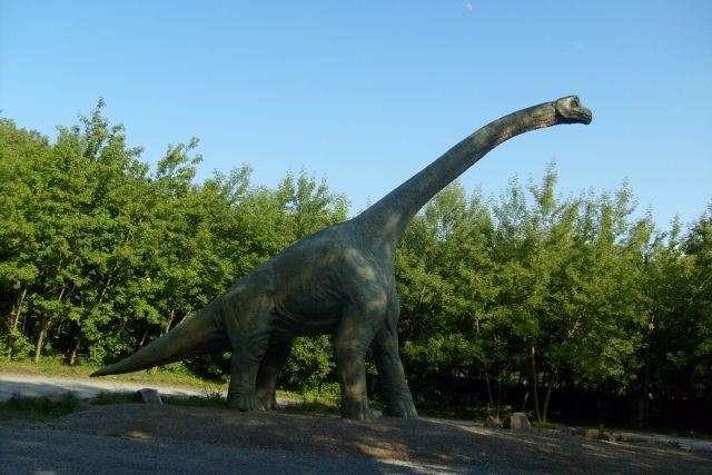 Brontosaurus Přeslička