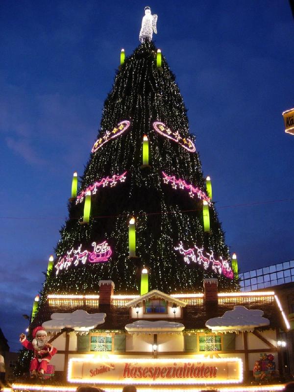 Jeden z největších vánočních stromů v Evropě