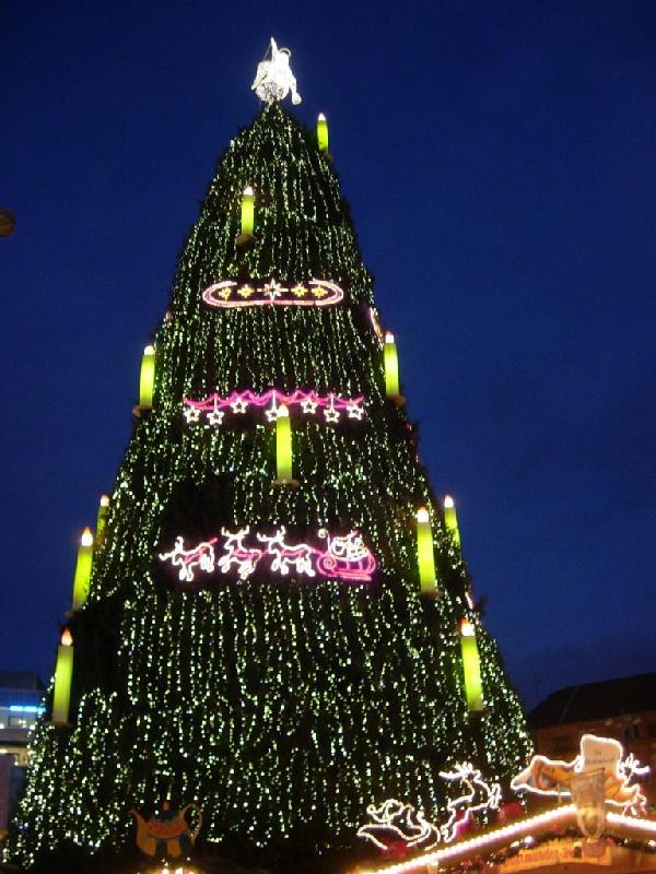 Jeden z největších vánočních stromů v Evropě
